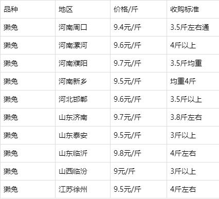 今日兔毛價格行情解析