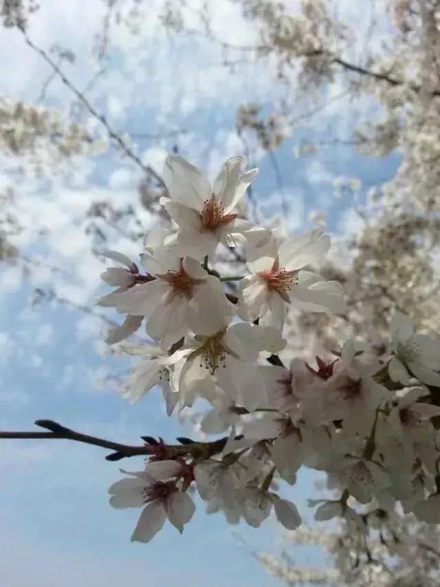 婷婷社區(qū)最新地址，溫馨家園新坐標(biāo)打造記