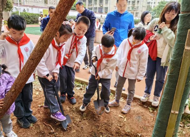 長沙小學排名最新名單及影響力深度探討