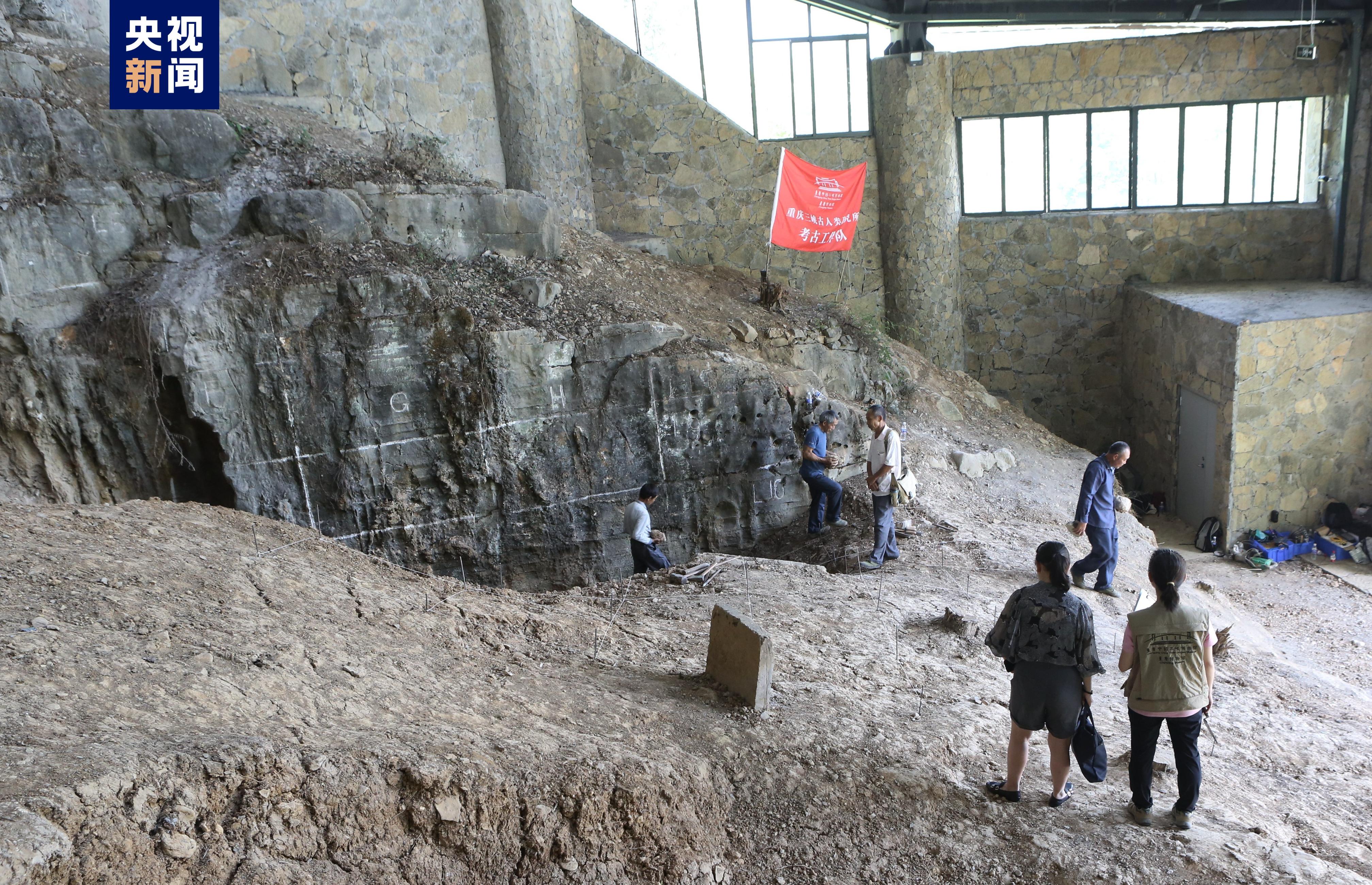 龍骨坡遺址最新揭秘，揭開古老文明的神秘面紗