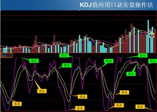 新中基股票最新消息全面解析