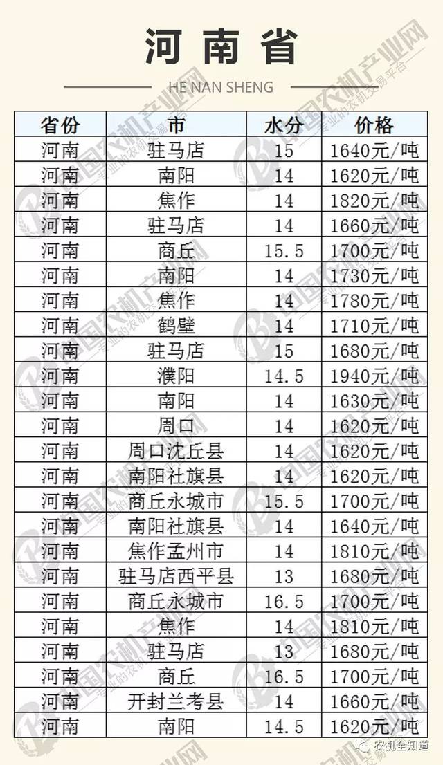 河南省玉米價格最新行情解析