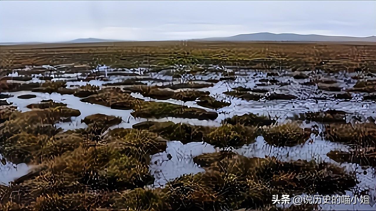 草根首長的崛起，深度解析最新章節