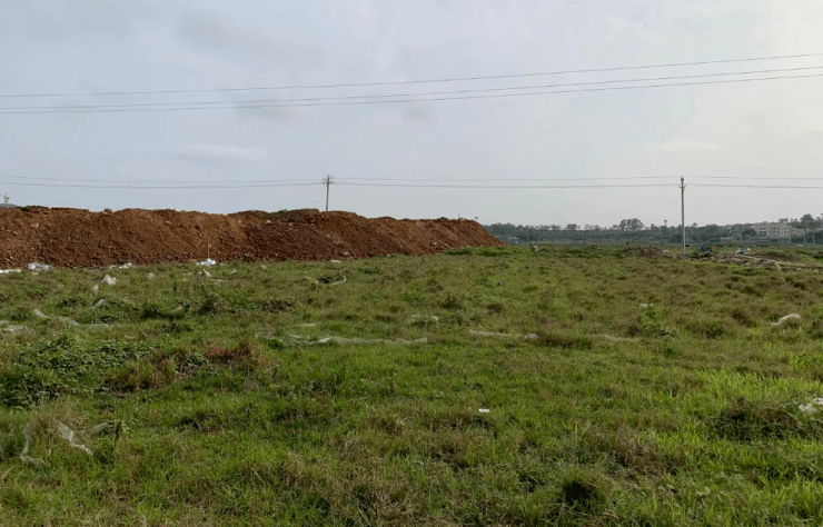 湛江遂溪土地全新出售，投資熱土啟航發(fā)展之旅