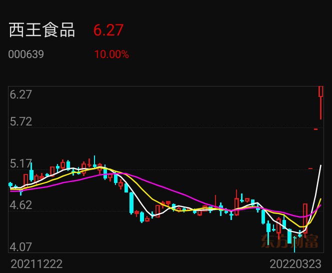 西王食品股票最新消息深度解析