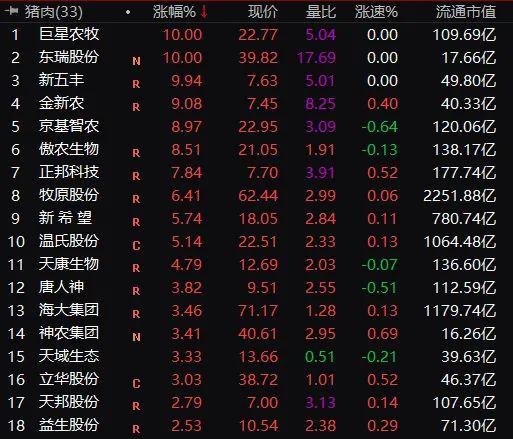 新五豐最新動態引人關注