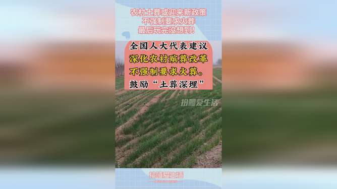 土葬最新政策的探討與實施，改革與實踐之路