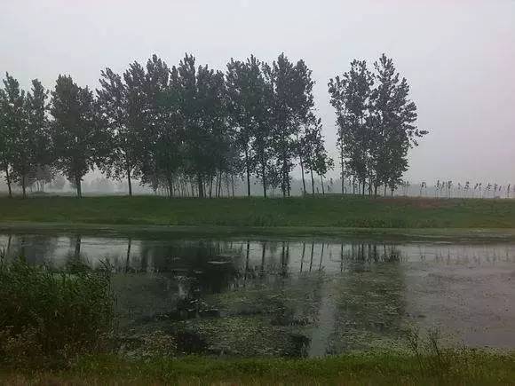 蒙城濕地公園最新動(dòng)態(tài)，綠色生態(tài)建設(shè)新篇章啟動(dòng)