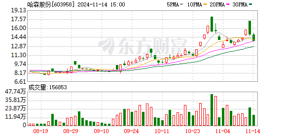 哈森股份最新消息綜述，動態與發展概覽