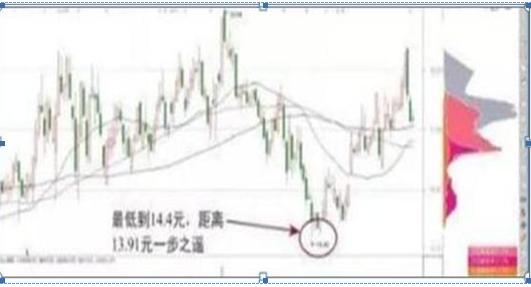 新研股份最新動態全面解讀